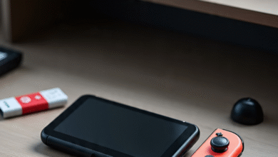 Nintendo Switch storage