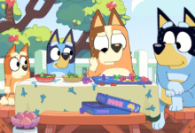 Is bluey a boy or a girl