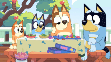 Is bluey a boy or a girl