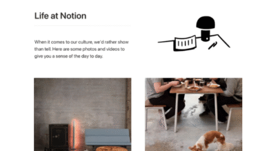 Notion careers